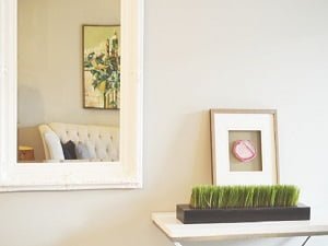 Services Campbelltown Glaziers 2 Mirrors Campbelltown